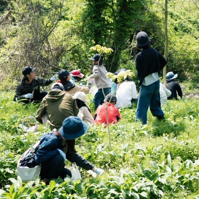 R8幎5æ3æ¥éå¬ã仿¥ãã倧èªç¶ã®äžã§æ¥ã®æ¯å¹ãæºå«ããã!å±±èãæ¥œããäŒåå åž(倧人1åå)ã1728036ã