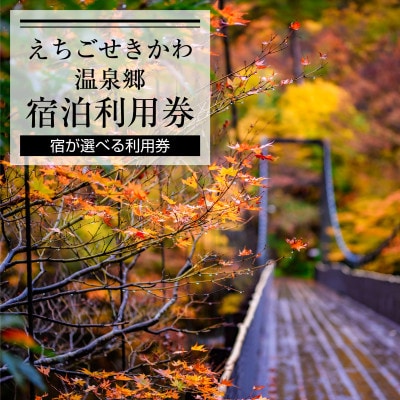 えちごせきかわ温泉郷宿泊利用券(9,000円分)【1278599】