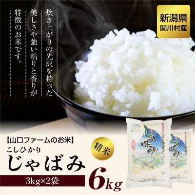 【毎月定期便】関川村産コシヒカリ6kg 丁寧に育てた贅沢米 [山口ファーム]全12回【4073240】