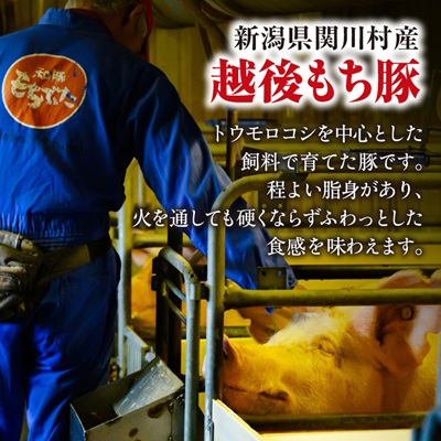 [小分けパックがうれしい] 越後もち豚肩ロース肉(しゃぶしゃぶ用) 合計900g【配送不可地域：離島】【1644024】