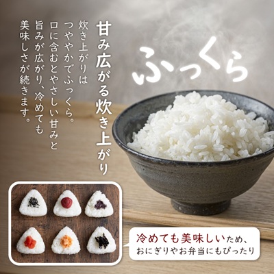 【毎月定期便】炊きたてつやつや 新潟関川村産 岩船米こしひかり精米 5kg [星山米店]全2回【4079622】