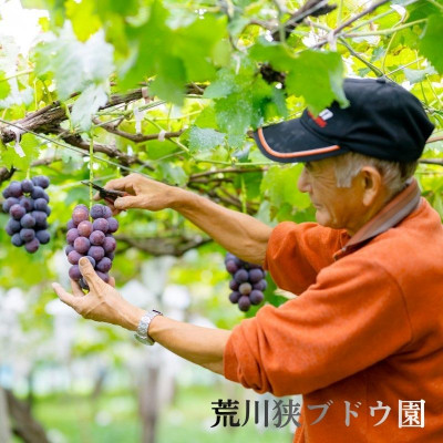 縲仙郁。御コ育エ縲代カ縺ゥ縺縺ョ邇区ァ!遞ョ縺ェ縺怜キィ蟲ー 邏2kg [闕貞キ晏ウ。繝悶ラ繧ヲ蝨綻縲宣埼∽ク榊庄蝨ー蝓滂シ夐屬蟲カ縲代1243930縲