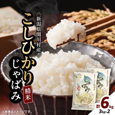 【先行予約】R8年産 関川村産コシヒカリ6kg(3kg×2)丁寧に育てた贅沢米精米 [山口ファーム]【1737887】