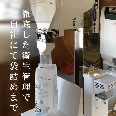 ふっくら食感!R7年産 関川村産コシヒカリ5kg(5kg×1) 丁寧に育てた精米 [山口ファーム]【1748802】