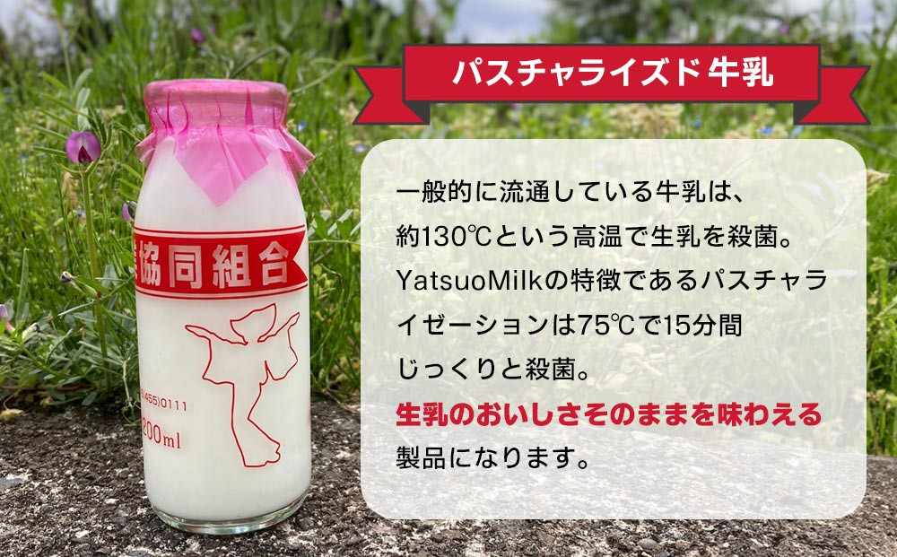 Yatsuo MILK (çä¹³)10æ¬ã»ãããå¯å±±å
«å°Ÿã®ãããããã³çä¹³