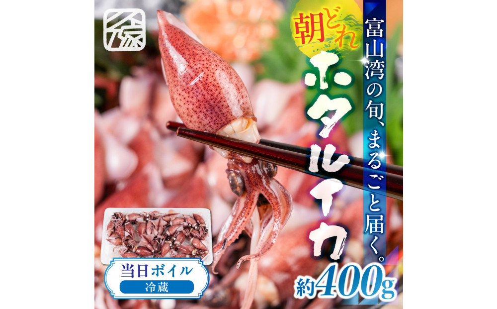 【先行予約】＜2027年3月以降順次発送予定＞朝獲れ 富山湾の旬 ボイルほたるいか 400g 冷蔵