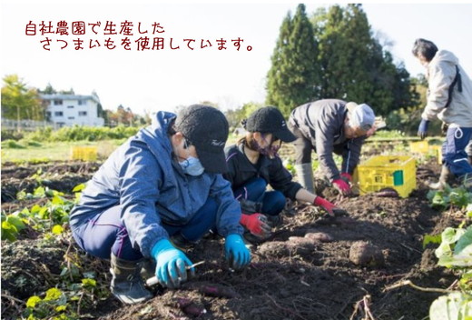 魚津産さつまいもジェラート12個セット PATATA GERATE ※北海道・沖縄・離島への配送不可