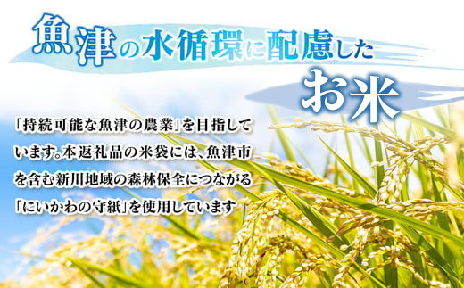 【6ヶ月定期便】【令和6年度米】「魚津のミルキークイーン（晃米）」20kg（白米） ｜ 環境配慮 MK農産 お米 ブランド米 銘柄米 精米 ご飯 おにぎり 産地直送 甘み 粘り もちもち ※2024年10月下旬頃より順次発送予定 ※北海道・沖縄・離島への配送不可