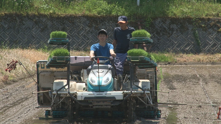 【早期予約】令和7年度産 肥沃な黒土で育ったお米 魚津市長引野産 こしひかり 20kg（5kg×4） ※北海道・沖縄・離島への配送不可 ※2025年10月上旬～12月下旬頃に順次発送予定