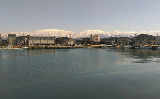 【6ヵ月定期便】【富山の干物専門店】伝承の紅鮭20切 ※北海道・沖縄・離島への配送不可