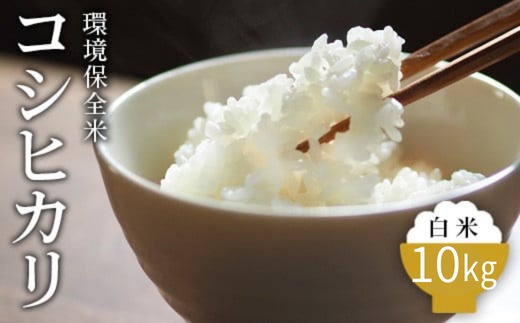 令和7年産 白米 環境保全米 コシヒカリ 10kg｜棚田米 お米 こしひかり こめ コメ 精米 おこめ もちもち 冷めても 美味しい 高品質 富山 魚津※北海道・沖縄・離島への配送不可 ※2025年10月上旬～2026年3月下旬頃に順次発送予定
