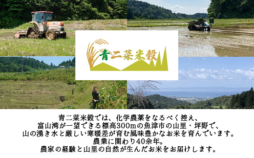 å±±ã®æ¹§ãæ°Ž 坿差 å±±é å±±éã®ç±³ïœ¥åªéæ£ç°ç±³ R7å¹Žç£ ãŠãããã5kg â»åæµ·éã»æ²çžã»é¢å³¶ãžã®é
éäžå¯