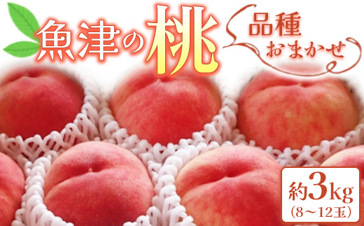 【先行受付】魚津の桃「品種おまかせ」約3kg ヴィータ・デ・フルッタ関口農園 ※北海道・沖縄・離島への配送不可 ※2025年7月下旬～8月上旬頃に順次発送予定