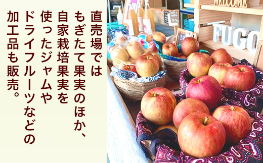 ふじりんごとふじりんごジュース、りんごジャムのセット ※2025年12月上旬～2026年3月下旬頃に順次発送予定 ※北海道・沖縄・離島への配送不可