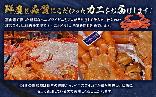【冷蔵・ボイル済】魚卸問屋のベニズワイガニ 900g級以上×2杯｜はりたや 魚貝類 魚介類 海鮮 ずわい蟹 ずわいガニ 紅ズワイガニ 大きい セット 濃厚かにみそ 蟹しゃぶ 蟹飯 カニ鍋 人気 豪華 お取り寄せ 北陸 富山県 富山湾 魚津市 送料無料 ※2025年9月下旬～2026年5月下旬頃に順次発送予定 ※北海道・沖縄・離島への配送不可