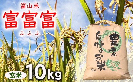 【令和8年度米】【新米予約】農家直送「富富富」10kg（玄米）｜富山米 ふふふ ※2026年9月～発送