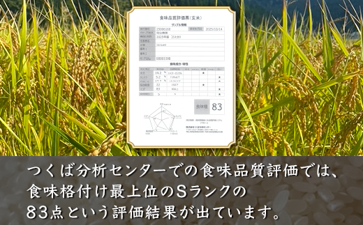 縲蝉サ、蜥7蟷エ蠎ヲ逕」邀ウ縲大ーセ隹キ霎イ蝨 閾ェ辟カ譬ス蝓ケ邀ウ繧ウ繧キ繝偵き繝ェ 邊セ邀ウ5kg 窶サ蛹玲オキ驕薙サ豐也ク繝サ髮「蟲カ縺ク縺ョ驟埼∽ク榊庄
