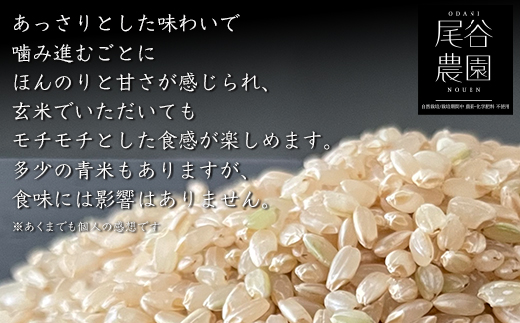 【令和7年度産米】尾谷農園 自然栽培米コシヒカリ 玄米5kg ※北海道・沖縄・離島への配送不可