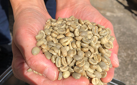 自家焙煎コーヒー豆専門店「グアテマラ　サンタバーバラ」：1kg（豆）