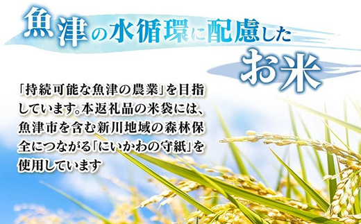 縲蝉サ、蜥7蟷エ蠎ヲ逕」邀ウ縲代占セイ螳カ逶エ騾√醍腸蠅驟肴ョ縲碁ュ壽エ・縺ョ蟇悟ッ悟ッ鯉シ域刄邀ウシ峨咲區邀ウ10kg 窶サ蛹玲オキ驕薙サ豐也ク繝サ髮「蟲カ縺ク縺ョ驟埼∽ク榊庄