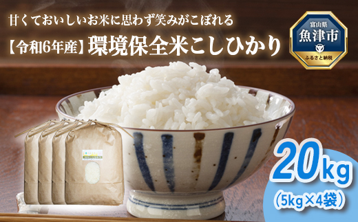 山の湧き水 寒暖差 山里 山里の米･坪野米 R6年産環境保全米こしひかり20kg ※北海道・沖縄・離島への配送不可