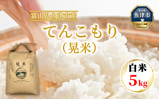 環境配慮「魚津のてんこもり（晃米）」5kg（白米） ｜ おこめ 富山県魚津市 MK農産 白米 銘柄米 ご飯 おにぎり お弁当 和食 主食 国産 炭水化物 直送 産地直送 甘み 香り もちもち ※北海道・沖縄・離島への配送不可