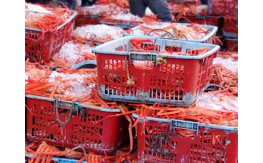 【冷凍】魚卸問屋の紅ズワイガニむき身（棒身400ｇ・バラ身400g）合計約800ｇ　※2023年9月下旬〜2024年5月中旬頃に順次発送予定