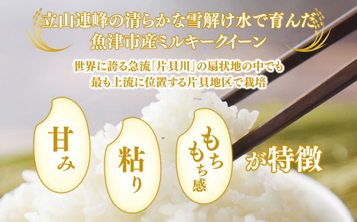 【6ヶ月定期便】【令和6年度米】「魚津のミルキークイーン（晃米）」5kg（白米） ｜ 環境配慮 MK農産 お米 ブランド米 銘柄米 精米 ご飯 おにぎり 産地直送 甘み 粘り もちもち ※2024年10月下旬頃より順次発送予定 ※北海道・沖縄・離島への配送不可