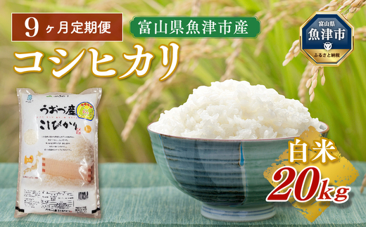 【令和7年度米】【9ヶ月定期便】富山県 うおづ産米「コシヒカリ」20kg（5kg×4袋）(精米)｜9ヶ月定期便 9回 9ヶ月 こしひかり こめ コメ お米 おこめ 白米 精米 雪解け水 香り うまみ あまみ 冷めても 美味しい おにぎり お弁当 高品質 魚津市 ※北海道・沖縄・離島への配送不可