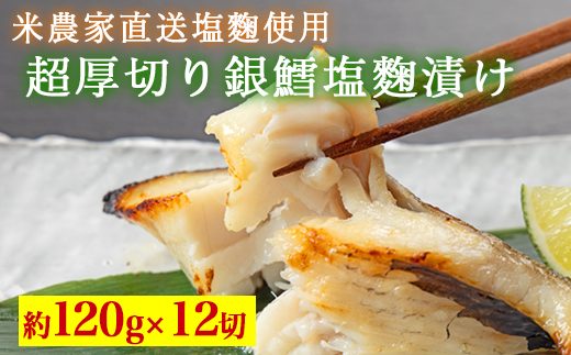 雜蜴壼繧企橿魍亥。ゥ鮗ケ貍ャ 12蛻蜈・ 窶サ蛹玲オキ驕薙サ豐也ク繝サ髮「蟲カ縺ク縺ョ驟埼∽ク榊庄