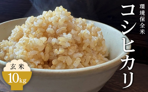 令和7年産 環境保全米コシヒカリ 玄米10kg【北アルプス剣岳源流早月川最上流の棚田米】｜お米 こしひかり ※北海道・沖縄・離島への配送不可