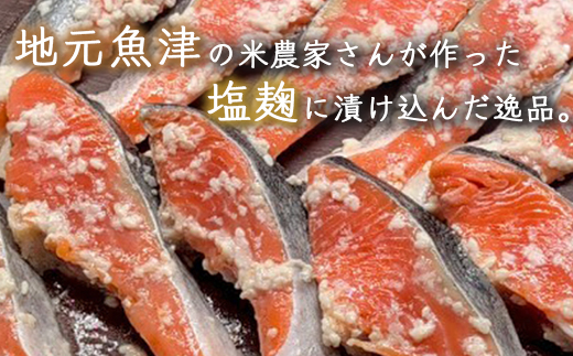 éé®å¡©éº¹æŒ¬ãã10åå
¥ â»åæµ·éã»æ²çžã»é¢å³¶ãžã®é
éäžå¯