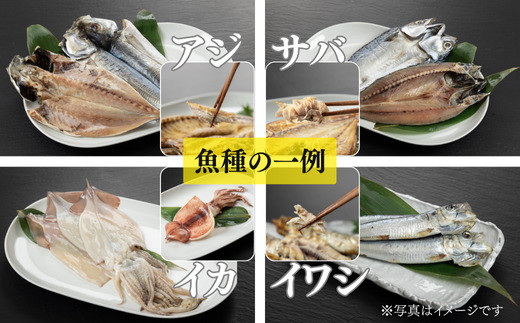 縺翫∪縺九○險ウ縺ゅj蟷イ迚ゥ繧サ繝繝茨シ3ス5遞ョシ 邏2.0kg 蟇悟アア 鬲壽エ・ 豬懈オヲ豌エ逕」 閾ェ螳カ逕ィ 螳カ蠎ュ逕ィ縲宣ュ夊イ晞。槭サ蟷イ迚ゥ繧サ繝繝医サ蟷イ迚ゥ繝サ險ウ縺ゅj蟷イ迚ゥ縲