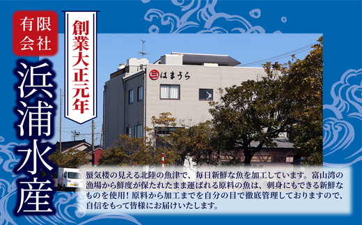 ほたるいか 素干し 200g 25g×8袋 セット 全国水産加工業協同組合連行会会長賞受賞 浜浦水産 おつまみ つまみ 珍味 いか イカ 干物 ひもの 魚介 魚介類 海鮮