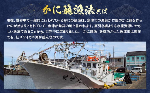 訳あり カニ 魚卸問屋のベニズワイガニ 約2kg 蟹 かに 紅ズワイガニ はりたや【 わけあり 】 ※2025年9月下旬～2026年5月下旬頃に順次発送予定 ※北海道・沖縄・離島への配送不可