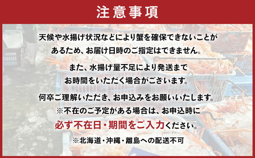 【特に訳あり】魚卸問屋のベニズワイガニ 約3kg｜ 魚介類 海の幸 海鮮 甲殻類 ボイル かに鍋 みそ汁 国産 富山県産 魚津市産 ※2025年9月下旬～2026年5月下旬頃に順次発送予定 ※北海道・沖縄・離島への配送不可