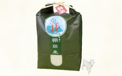 邀ウ 莉、蜥7蟷エ 繧ウ繧キ繝偵き繝ェ 5kg 辟。豢礼アウ 譽夂伐邀ウ 窶サ蛹玲オキ驕薙サ豐也ク繝サ髮「蟲カ縺ク縺ョ驟埼∽ク榊庄