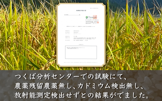 縲蝉サ、蜥7蟷エ蠎ヲ逕」邀ウ縲大ーセ隹キ霎イ蝨 閾ェ辟カ譬ス蝓ケ邀ウ繧ウ繧キ繝偵き繝ェ 邊セ邀ウ5kg 窶サ蛹玲オキ驕薙サ豐也ク繝サ髮「蟲カ縺ク縺ョ驟埼∽ク榊庄