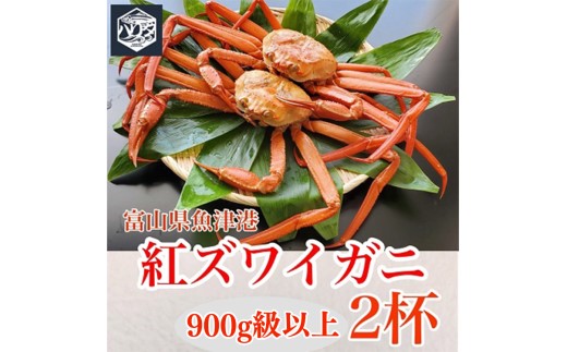 魚卸問屋のベニズワイガニ 900g級以上×2杯 はりたや ※2023年10月上旬〜2024年5月下旬頃に順次発送予定 ※北海道・沖縄・離島への配送不可◇