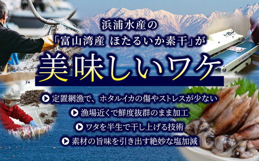 【大量シェア】ホタルイカ素干1.25kg（25g×50袋）：浜浦水産シェアセット