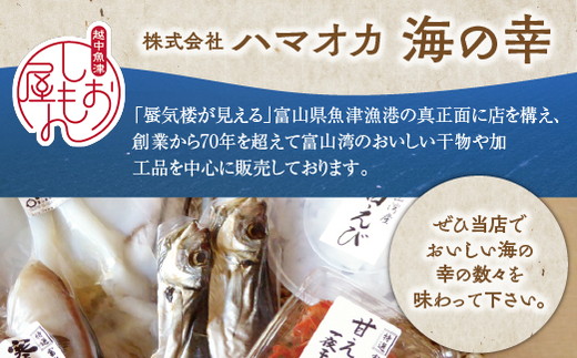 【3か月定期便】ほたるいか 素干し 100枚  おつまみ 肴 ハマオカ海の幸