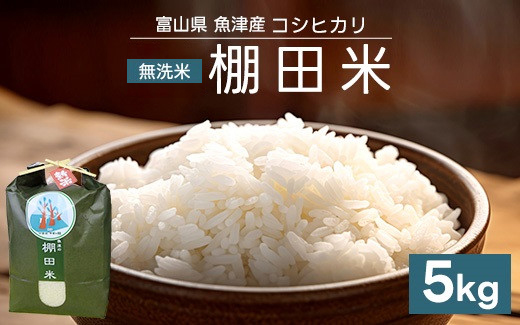 邀ウ 莉、蜥7蟷エ 繧ウ繧キ繝偵き繝ェ 5kg 辟。豢礼アウ 譽夂伐邀ウ 窶サ蛹玲オキ驕薙サ豐也ク繝サ髮「蟲カ縺ク縺ョ驟埼∽ク榊庄