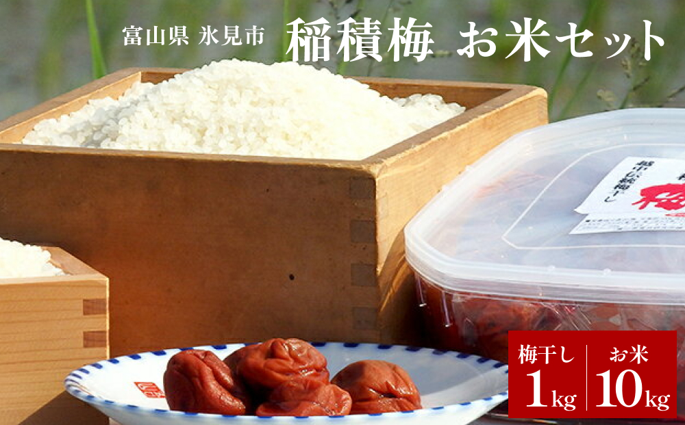 梅干し お米（10kg）付き！｜　富山県 氷見市 固定種 稲積梅 梅 梅干し 手作り 果実 昔ながら 無添加 酸っぱい 肉厚 お米 セット GI認証 GI登録 稲積梅