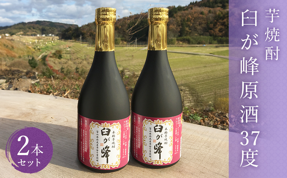 芋焼酎 臼が峰原酒（37度）2本セット | 焼酎 芋焼酎 さつまいも 黄金千貫 原酒 お酒 お取り寄せ 本格焼酎 いも焼酎 家飲み 富山 氷見