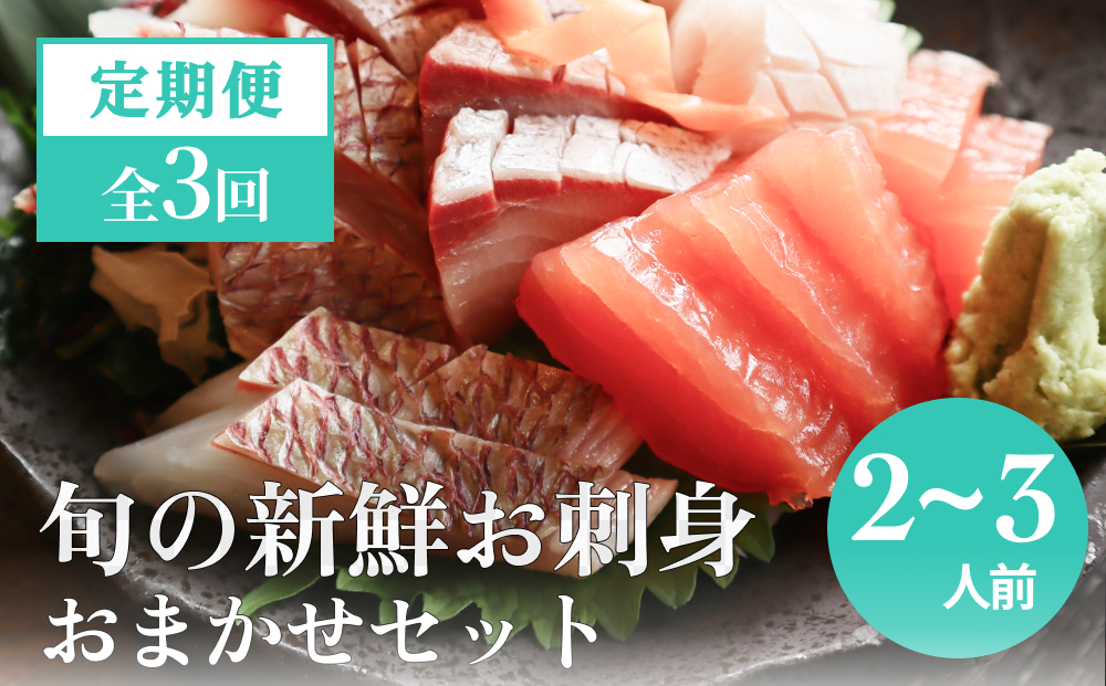 【３回 定期便】 氷見漁港朝どれ！旬の新鮮鮮魚おまかせセット 2,3人前（３月・６月・１１月）