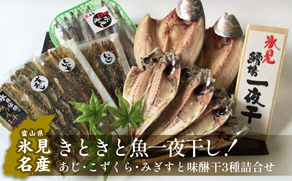 氷見産きときと魚一夜干し！あじ・こずくら・みぎすと味醂干3種詰合せ　【アジ・イワシ・魚貝類・干物・ししゃも・シシャモ】
