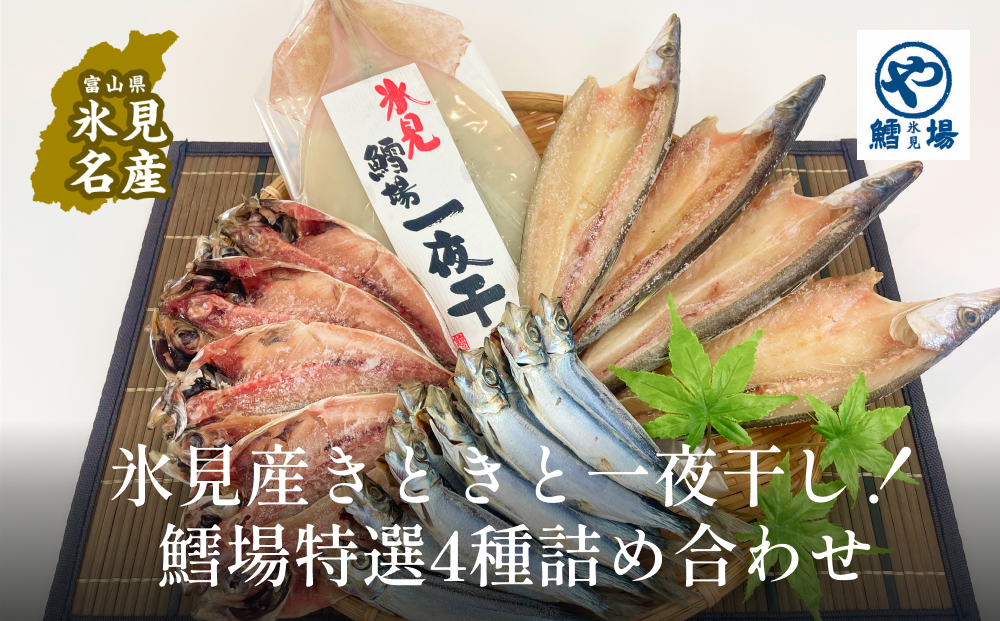 きときと特選一夜干し4種詰合せ《かます・あじ・いわし・するめいか》