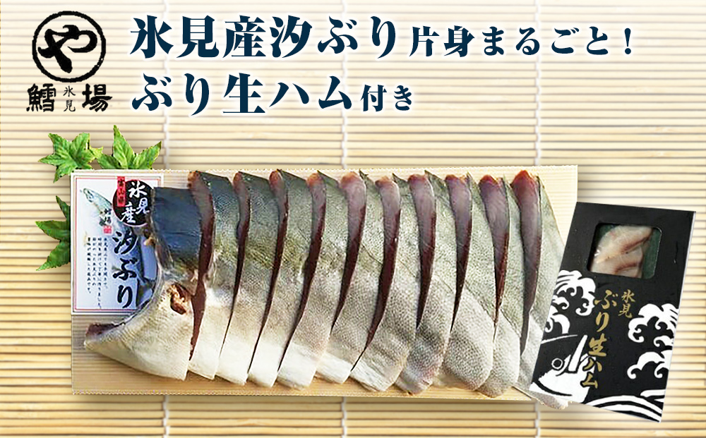 氷見産汐ぶり片身丸ごと！（ぶり生ハム付き）　|  汐ぶり 汐鰤 汐ブリ 新鮮な鰤 氷見鰤 氷見ぶり 氷見ブリ 鰤ハム 氷見漁港 富山湾