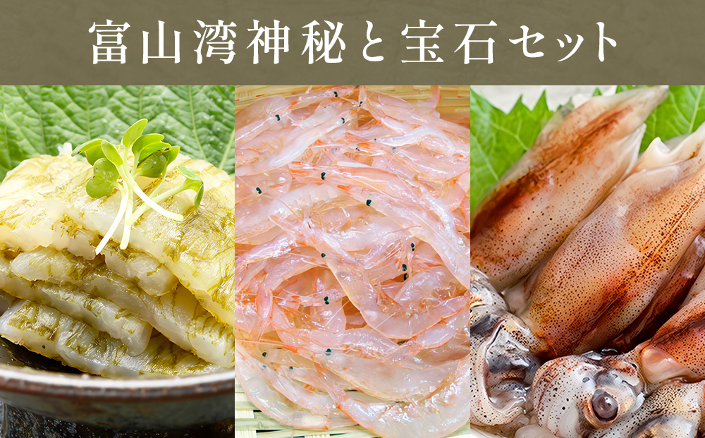 富山湾の神秘”ほたるいか”と富山湾の宝石”白エビ”セット〈冷凍〉