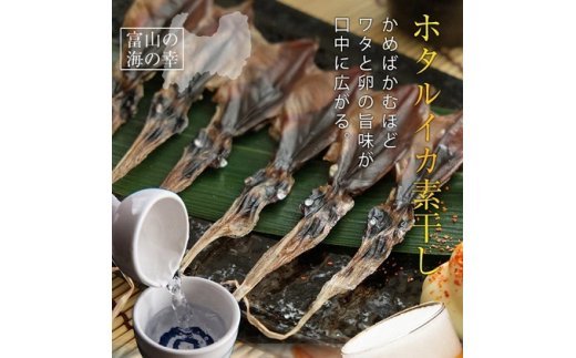 越中氷見屋　ホタルイカ 素干し 18尾入り × 5袋　【魚貝類・加工食品・イカ・ホタルイカ】